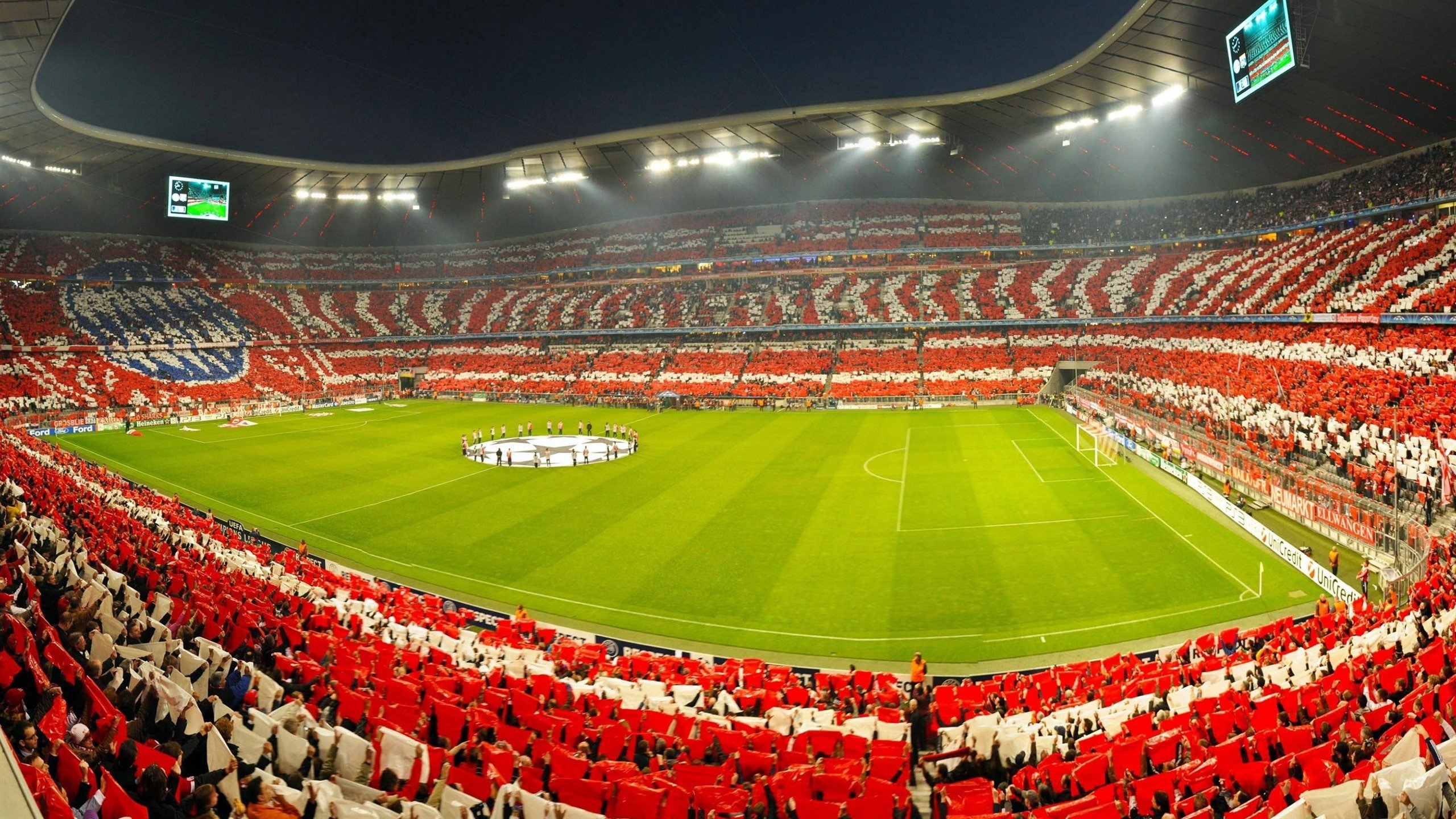 科维托娃遭遇十二连败，公牛教练压力巨大！观众掌声雷动